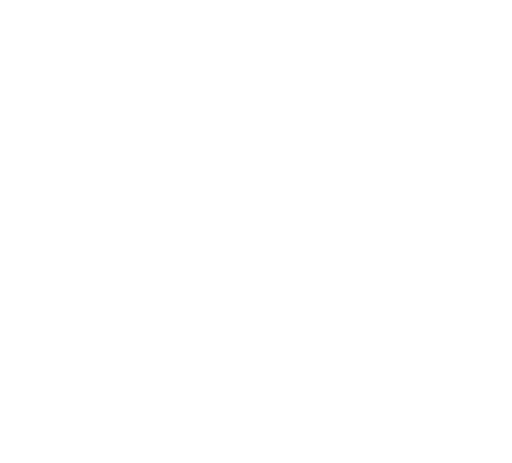 北京星空湾流航空服务有限公司 公司标识